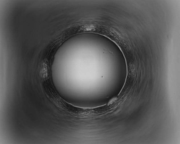X0000093531442200710121551