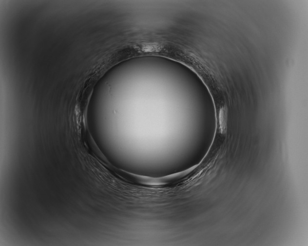 X0000093531443200710121551