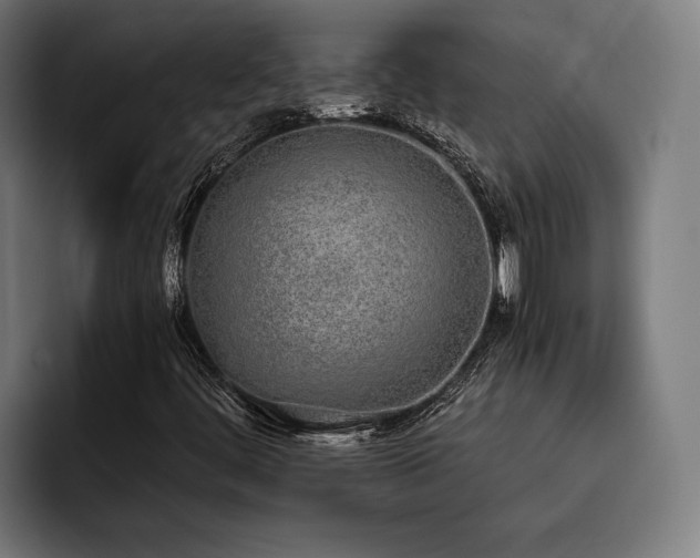 X0000093531444200710121551