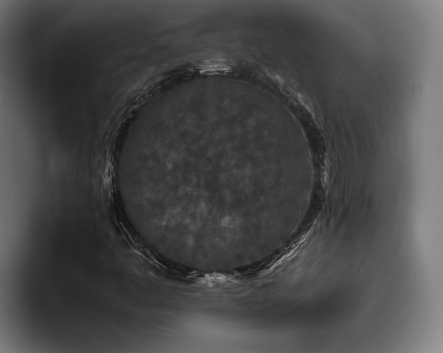 X0000093531445200710121551