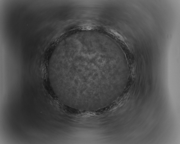 X0000093531446200710121551