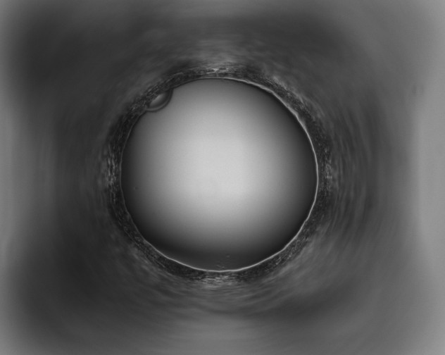 X0000093531447200710121551