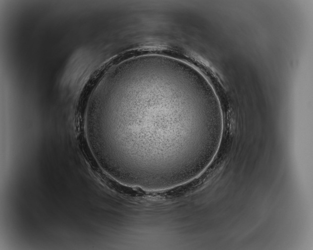 X0000093531448200710121551