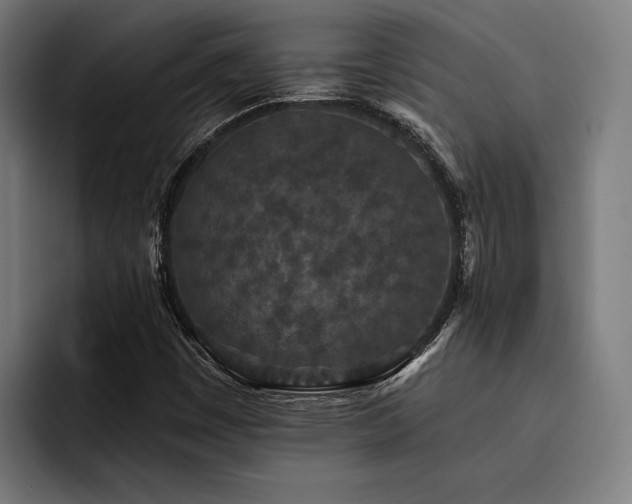 X0000093531449200710121550