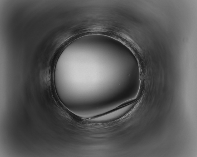 X0000093531450200710121550