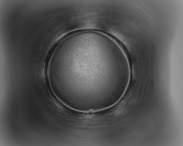 X0000093531452200710121550
