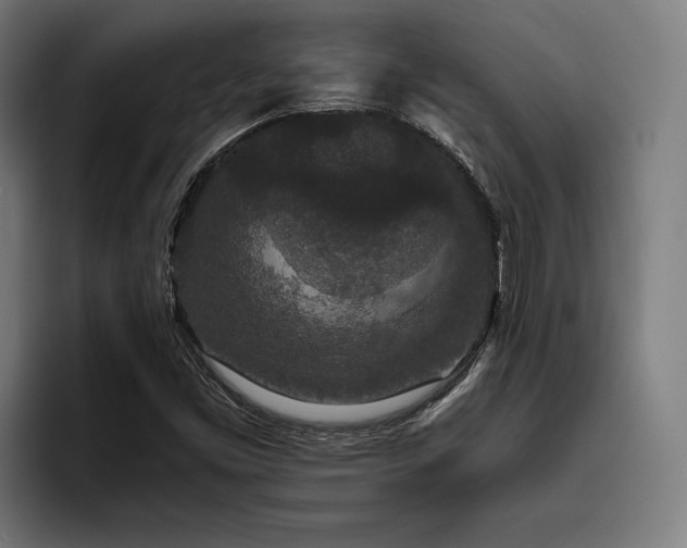 X0000093531453200710121550