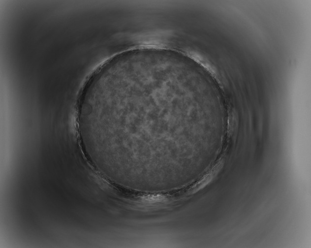 X0000093531454200710121550