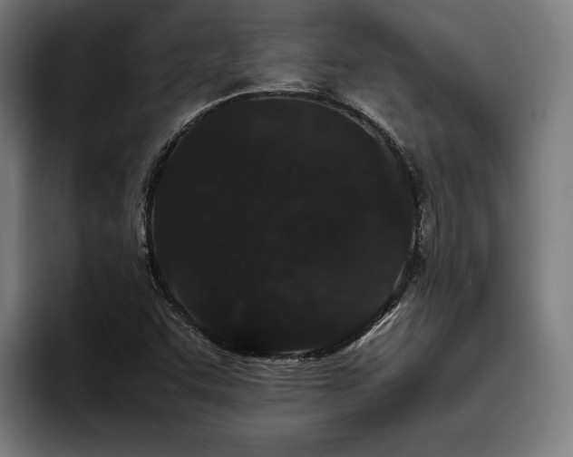 X0000093531455200710121550