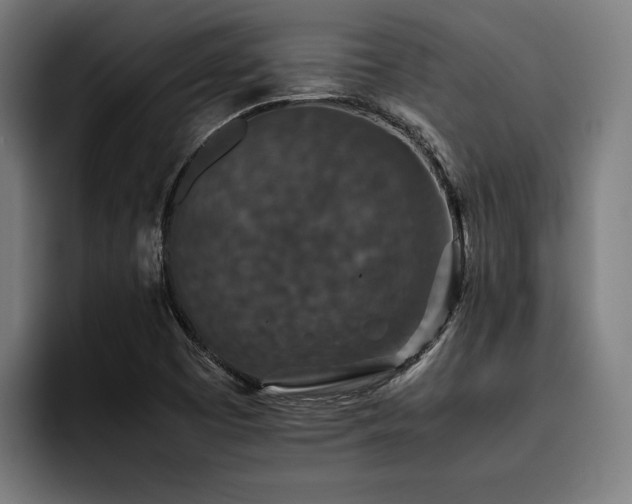 X0000093531457200710121550