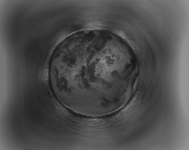 X0000093531459200710121550