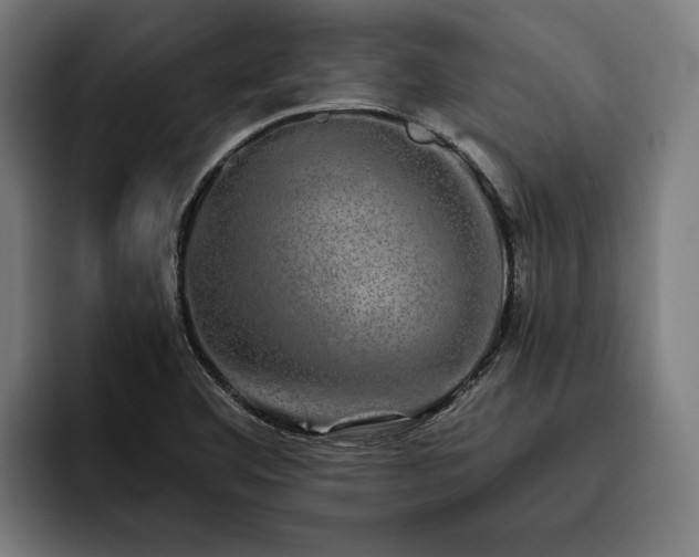 X0000093531460200710121550