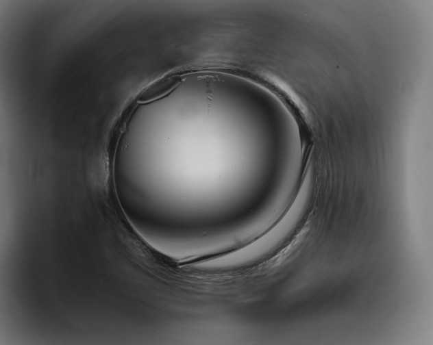 X0000093531461200710121550