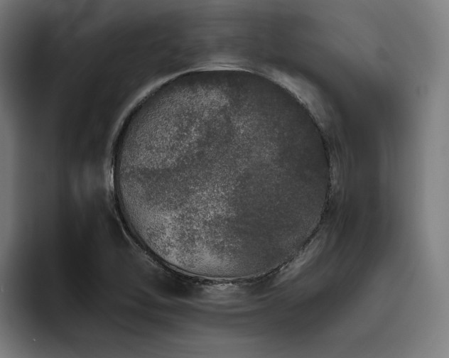 X0000093531462200710121550