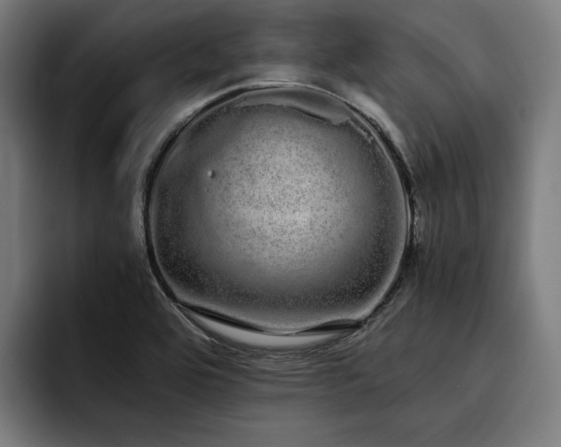 X0000093531464200710121550