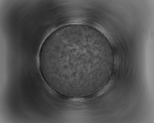 X0000093531466200710121550