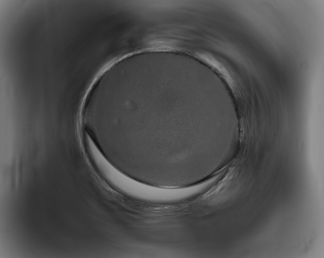X0000093531467200710121550