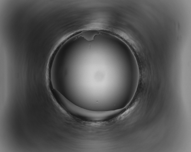 X0000093531469200710121550