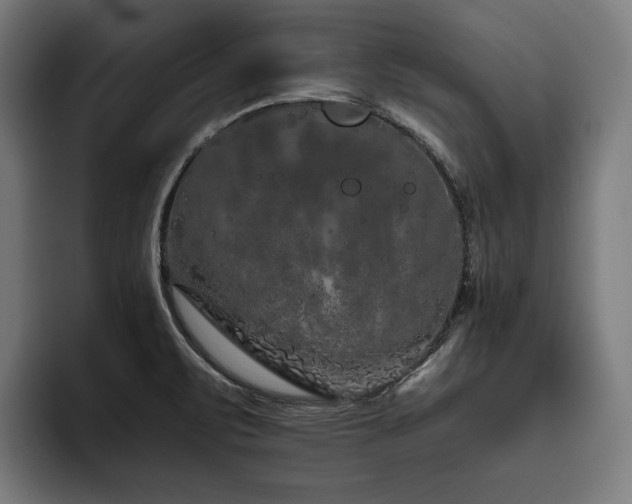 X0000093531471200710121550
