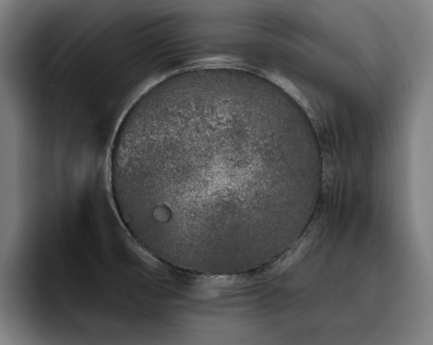 X0000093531474200710121550