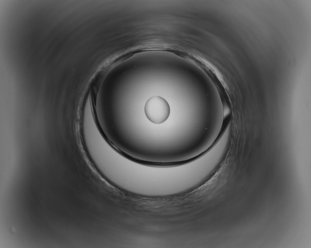X0000093531477200710121550