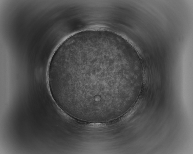 X0000093531478200710121550