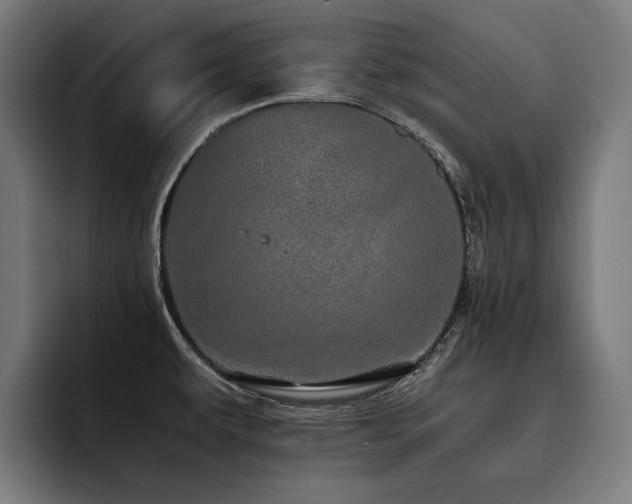 X0000093531479200710121550