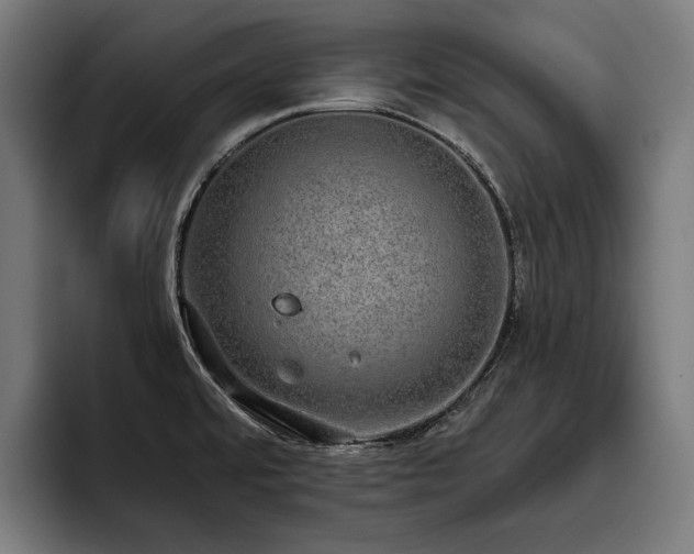 X0000093531480200710121550