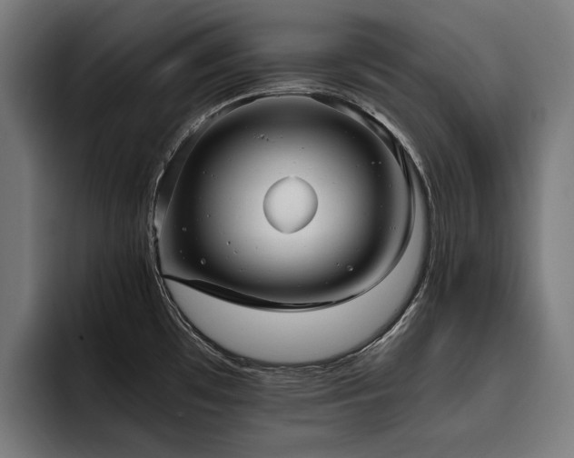 X0000093531481200710121550