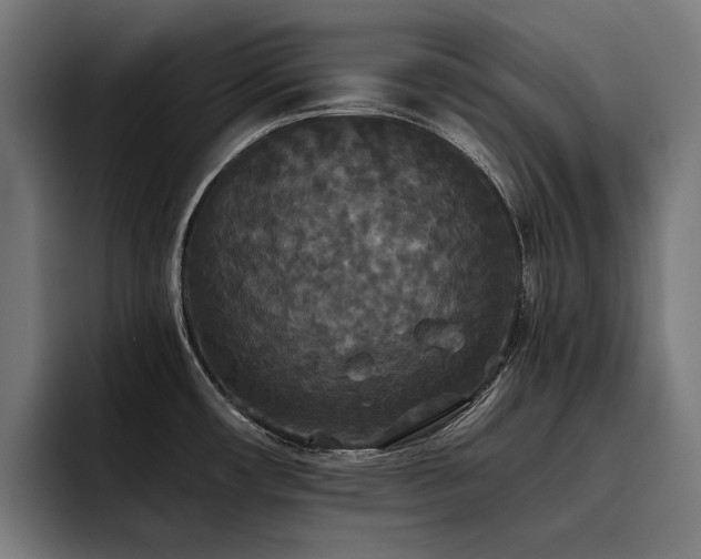 X0000093531482200710121550