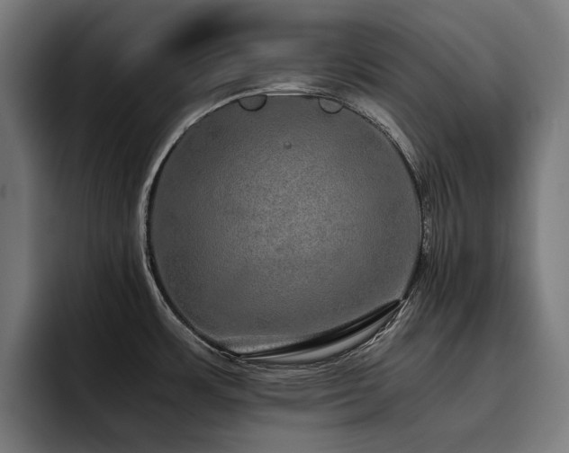 X0000093531483200710121550
