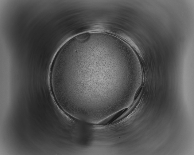 X0000093531484200710121550