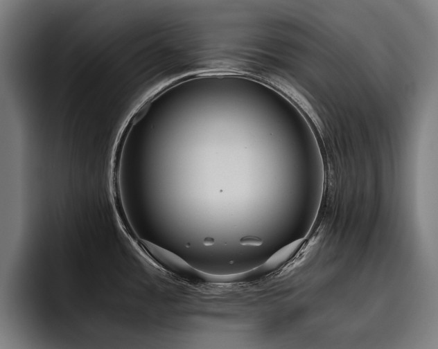 X0000093531485200710121550