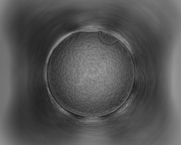 X0000093531486200710121550