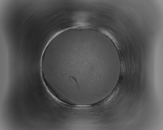X0000093531487200710121550