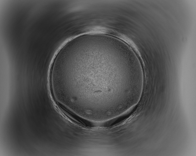 X0000093531488200710121550