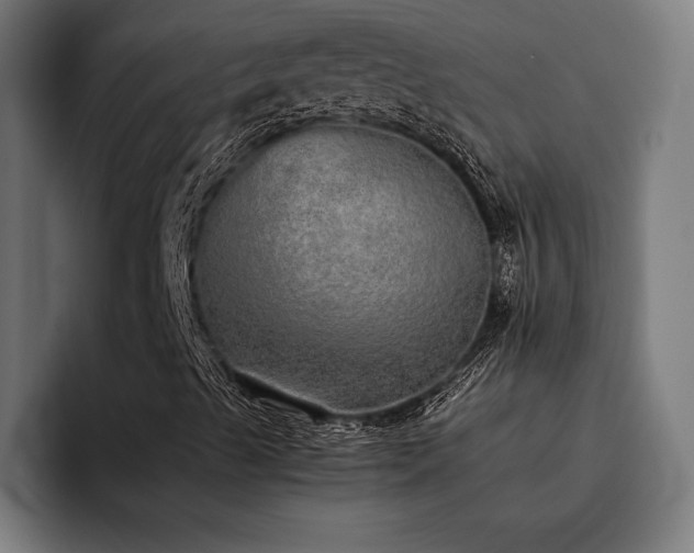 X0000093531489200710121549