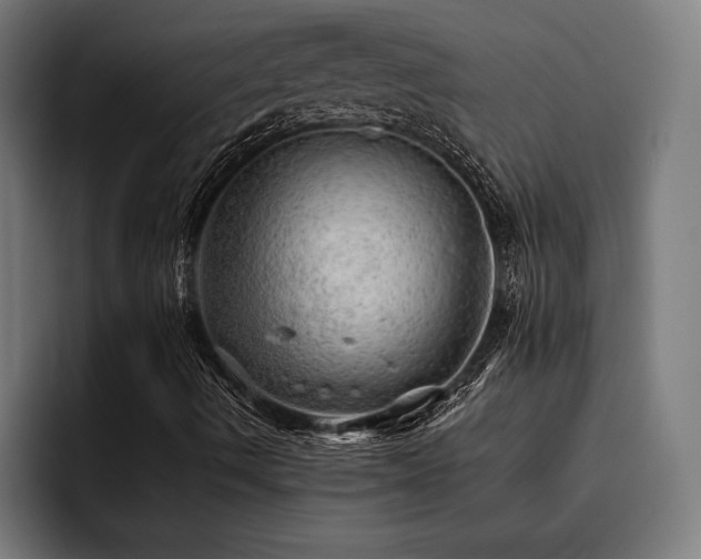 X0000093531490200710121549