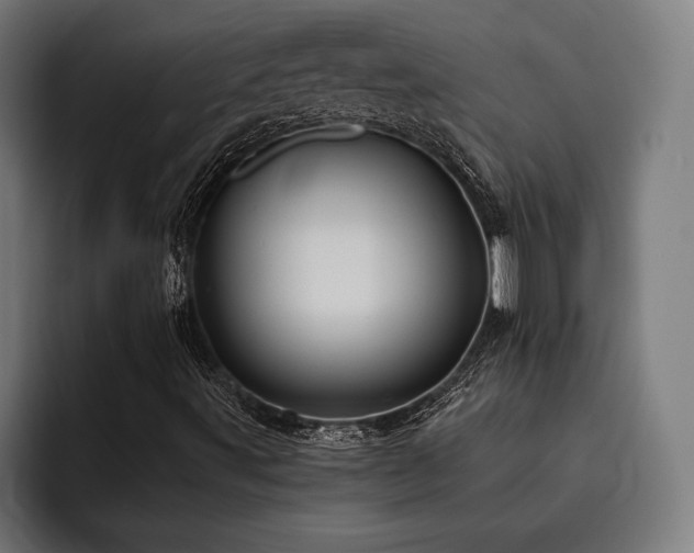 X0000093531491200710121549