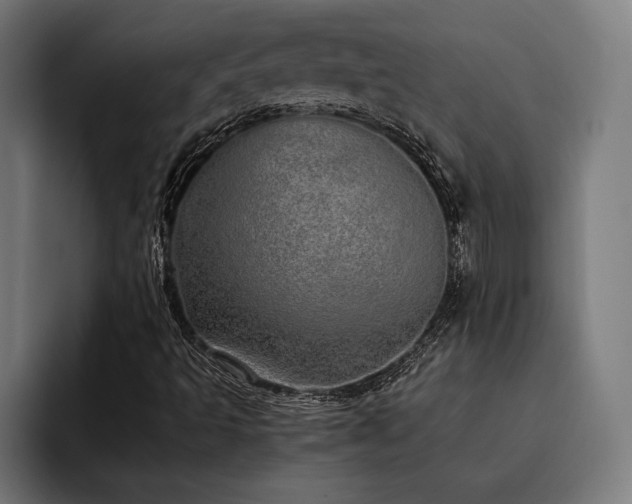 X0000093531493200710121550