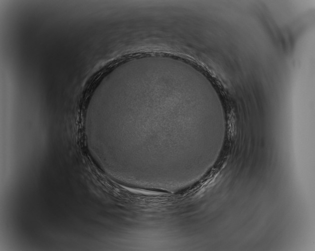 X0000093531494200710121550