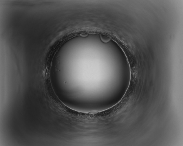 X0000093531495200710121550