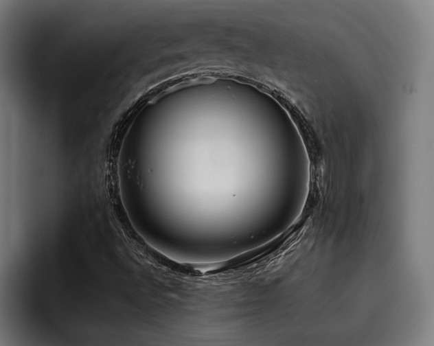 X0000093531496200710121550