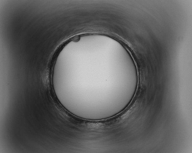 X0000093531498200710121550