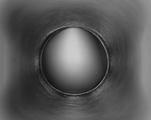 X0000093531499200710121550