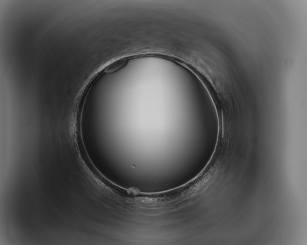 X0000093531500200710121550