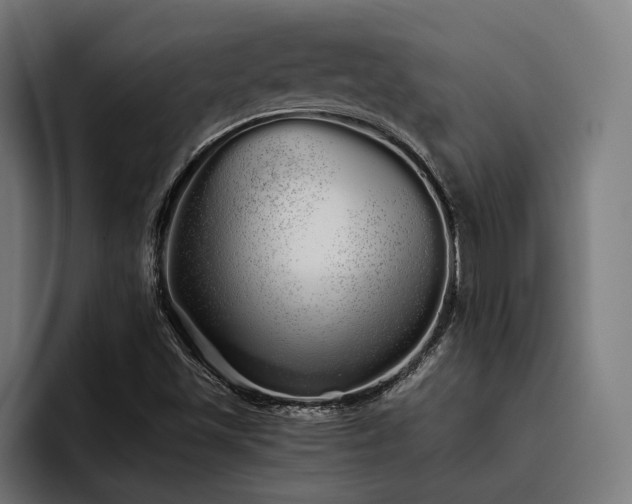 X0000093531501200710121550