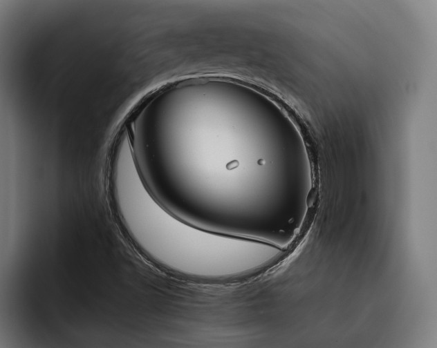 X0000093531502200710121550