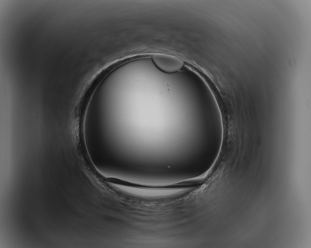 X0000093531503200710121550