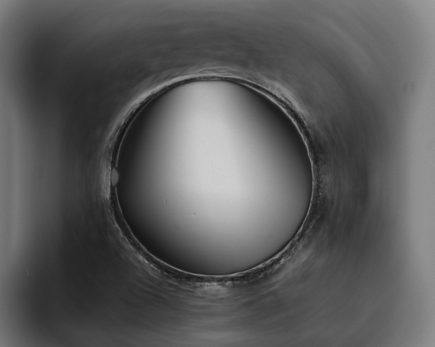 X0000093531504200710121550